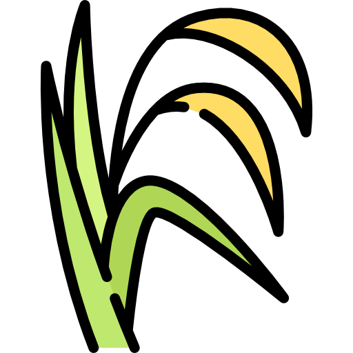 Rice & Rice Products